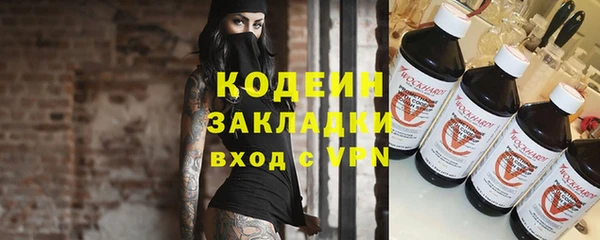 индика Лабытнанги