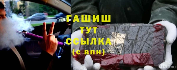 индика Лабытнанги