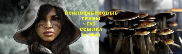 кокс Алексеевка