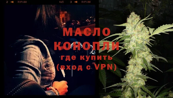 индика Лабытнанги