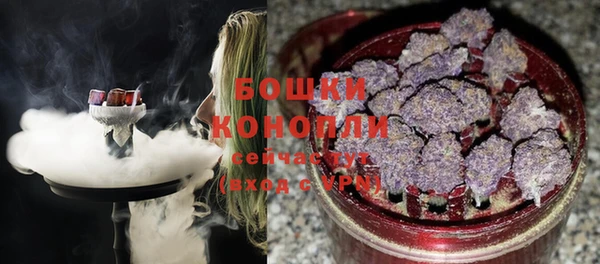 индика Лабытнанги