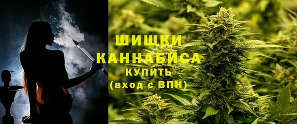 индика Лабытнанги
