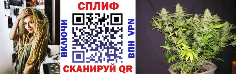 Каннабис SATIVA & INDICA наркошоп MEGA как войти Алексеевка